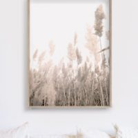 Wall art - Pampas Grass 2 sets- Canvas Prints- Poster Prints - Image 3