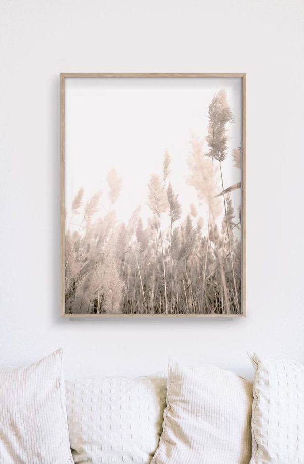 Wall art - Pampas Grass 2 sets- Canvas Prints- Poster Prints - Image 3