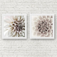 Wall Art - White Dahlia  (2 sets)- Canvas Prints-Poster Prints - Image 5