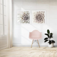 Wall Art - White Dahlia  (2 sets)- Canvas Prints-Poster Prints - Image 4