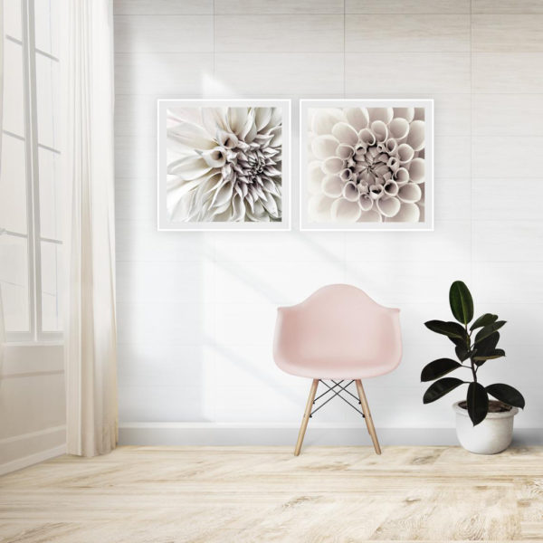 Wall Art - White Dahlia  (2 sets)- Canvas Prints-Poster Prints - Image 4