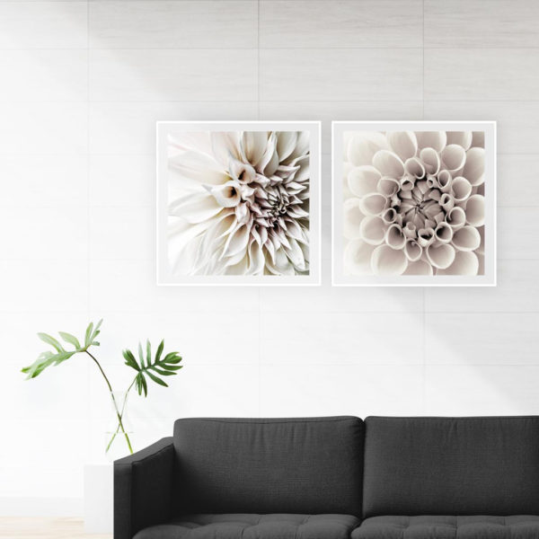 Wall Art - White Dahlia  (2 sets)- Canvas Prints-Poster Prints
