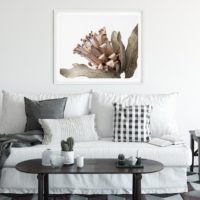 Wall Art - Dried Protea - Canvas Print - Poster Print - Image 5