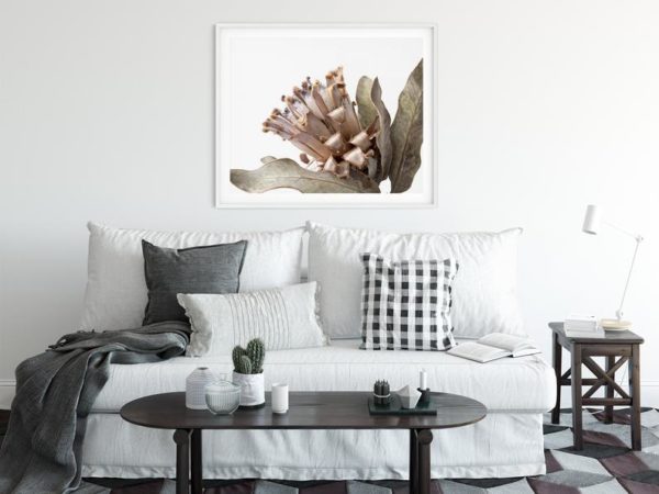 Wall Art - Dried Protea - Canvas Print - Poster Print - Image 5