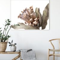 Wall Art - Dried Protea - Canvas Print - Poster Print - Image 2