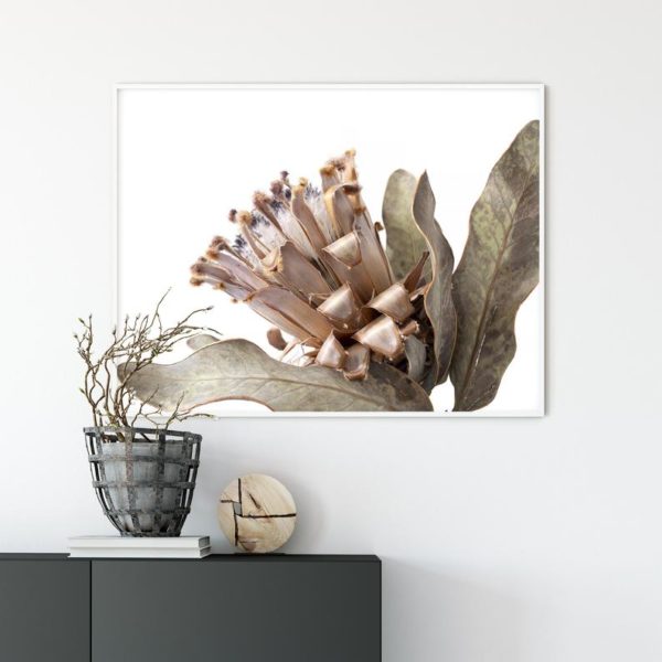 Wall Art - Dried Protea - Canvas Print - Poster Print