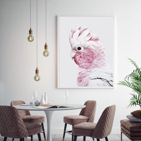 Wall Art - Pink Galah - Canvas Prints-Poster Prints - Image 3