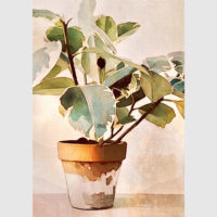 Wall Art - Botanical Leaves Watercolor Style 3 sets - Poster Prints -Canvas Prints - Image 3