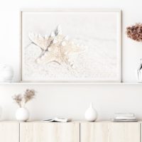 Wall Art - Starfish - Canvas Print - Poster Print