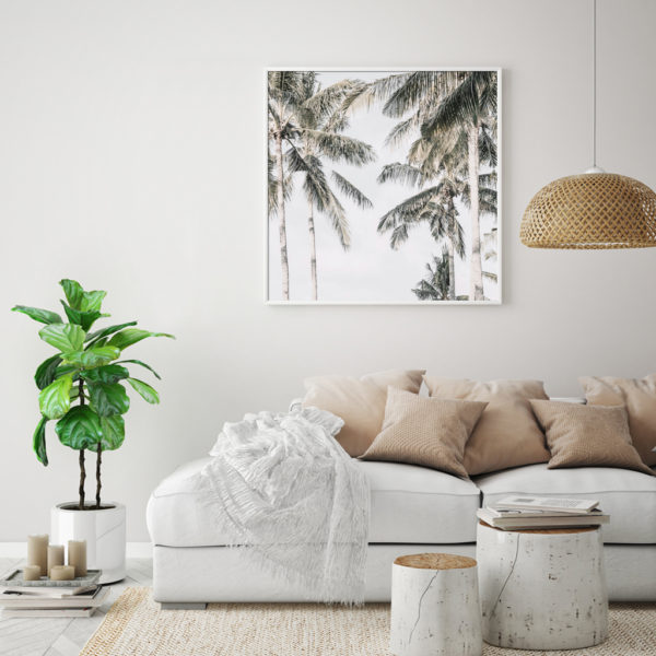 Wall Art - Palm Trees Square Size - Canvas Prints-Poster Prints - Image 2