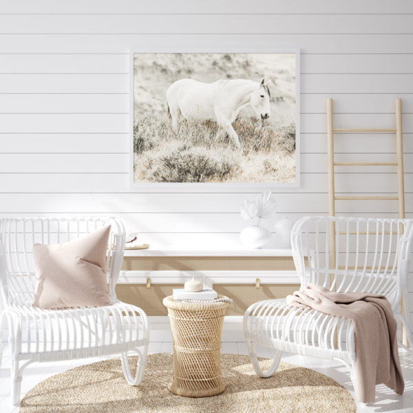 Wall Art - White Horse - Canvas Prints-Poster Prints - Image 3