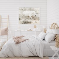 Wall Art - White Horse - Canvas Prints-Poster Prints