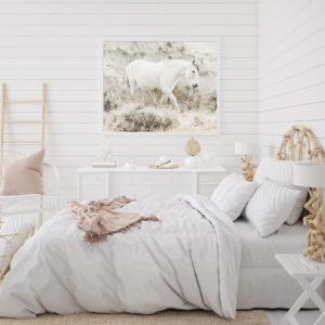 Wall Art - White Horse - Canvas Prints-Poster Prints