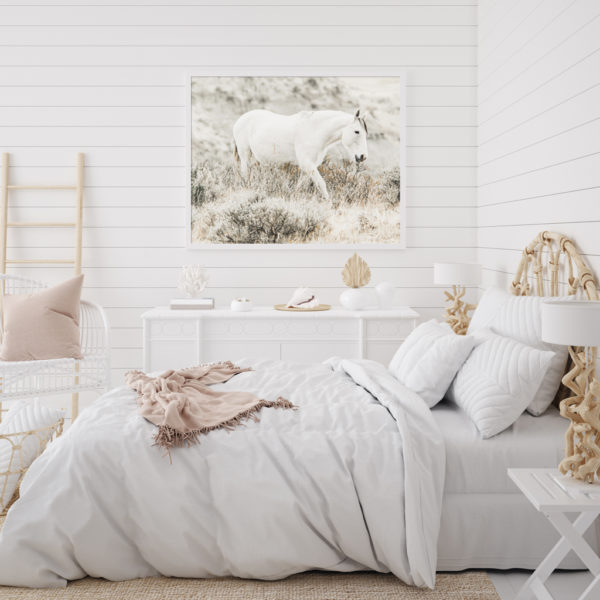Wall Art - White Horse - Canvas Prints-Poster Prints