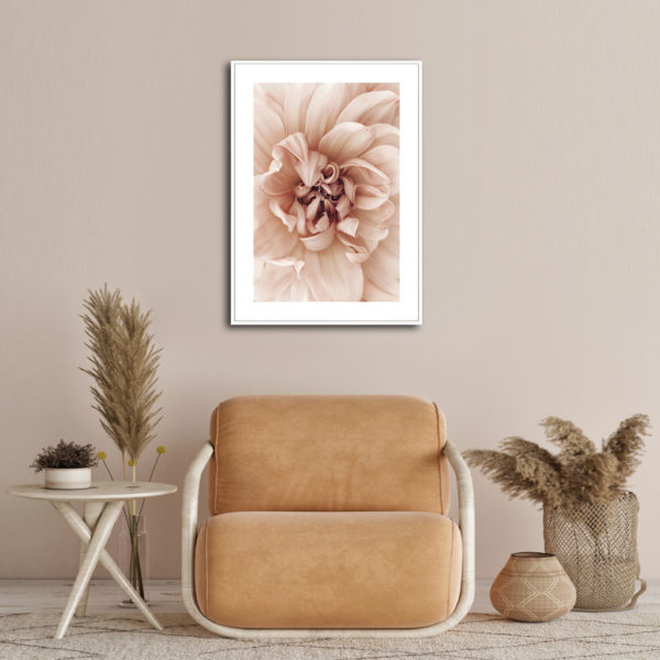 Wall art - Peach Dahila I - Canvas Prints - Poster Prints