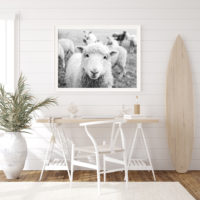 Wall Art - Black and White Sheep - Canvas Prints-Poster Prints