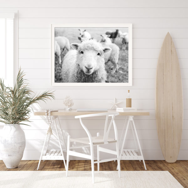 Wall Art - Black and White Sheep - Canvas Prints-Poster Prints