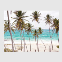 Wall Art - Florida Palm Tree - Canvas Prints-Poster Prints - Image 4