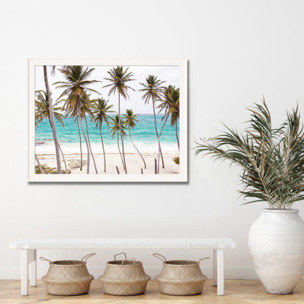 Wall Art - Florida Palm Tree - Canvas Prints-Poster Prints - Image 3