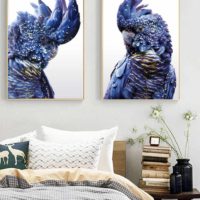 Wall Art - Black Cockatoo A  - Canvas Prints - Poster Prints - Image 3