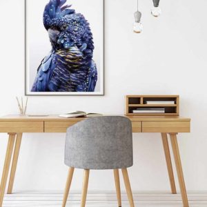 Wall Art - Black Cockatoo A  - Canvas Prints - Poster Prints
