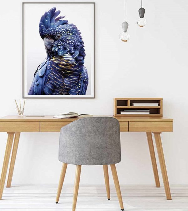 Wall Art - Black Cockatoo A  - Canvas Prints - Poster Prints