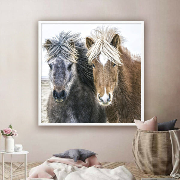 Wall Art - Icelandic Horses In Winter - Canvas Prints-Poster Prints - Image 3