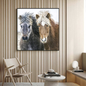 Wall Art - Icelandic Horses In Winter - Canvas Prints-Poster Prints