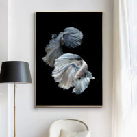 Wall Art - Siamese Fighting Fish - Canvas Prints-Poster Prints - Image 2