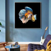 Wall Art - Betta Fish - Canvas Prints-Poster Prints - Image 2