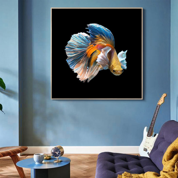 Wall Art - Betta Fish - Canvas Prints-Poster Prints - Image 2