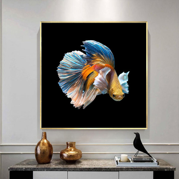 Wall Art - Betta Fish - Canvas Prints-Poster Prints - Image 3