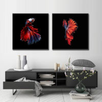 Wall Art - Siamese Fighting Fish (2 sets)- Canvas Prints-Poster Prints - Image 3