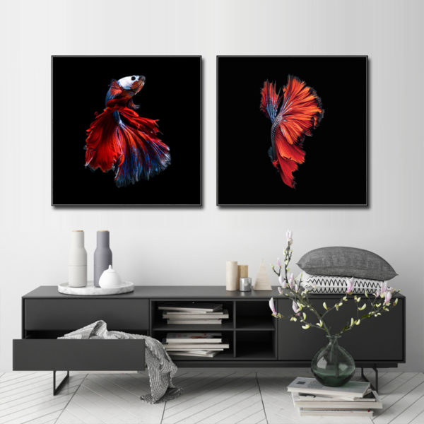 Wall Art - Siamese Fighting Fish (2 sets)- Canvas Prints-Poster Prints - Image 3