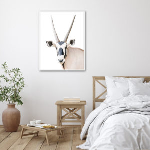 Wall Art - Oryx - Canvas Prints-Poster Prints