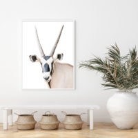 Wall Art - Oryx - Canvas Prints-Poster Prints - Image 2