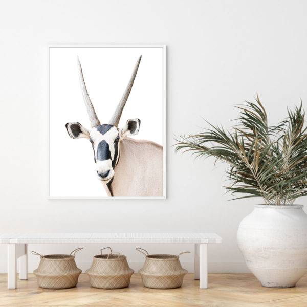 Wall Art - Oryx - Canvas Prints-Poster Prints - Image 2