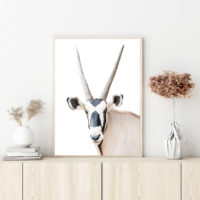 Wall Art - Oryx - Canvas Prints-Poster Prints - Image 3