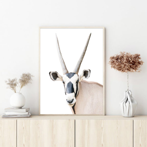 Wall Art - Oryx - Canvas Prints-Poster Prints - Image 3