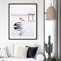 Wall Art - Pelican - Canvas Prints-Poster Prints