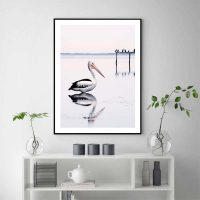 Wall Art - Pelican - Canvas Prints-Poster Prints - Image 3