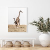 Wall Art – Giraffes – Canvas Prints-Poster Prints - Image 2