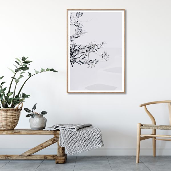 Wall Art - Olive Leaves - Canvas Prints-Poster Prints