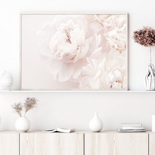 Wall Art - Peony In Bloom- Canvas Prints-Poster Prints - Image 3