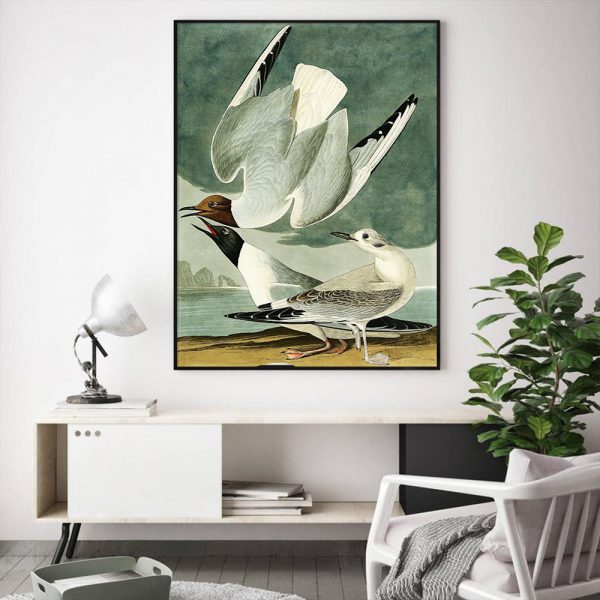 Wall Art - The Birds Of America By John James Audubon - Canvas Prints-Poster Prints - Image 2
