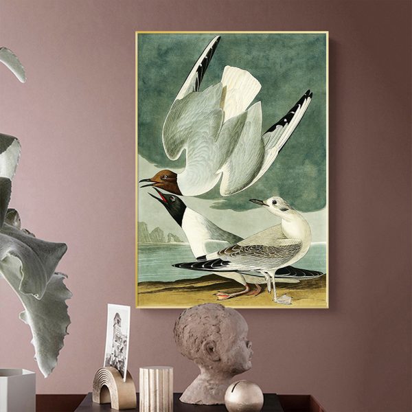 Wall Art - The Birds Of America By John James Audubon - Canvas Prints-Poster Prints
