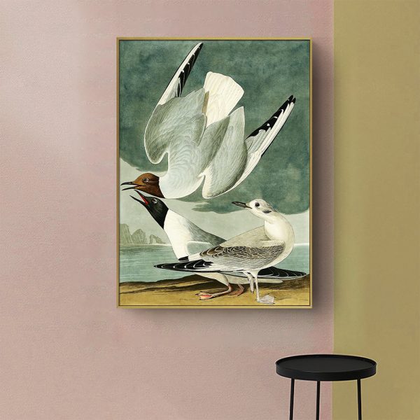 Wall Art - The Birds Of America By John James Audubon - Canvas Prints-Poster Prints - Image 3