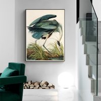 Wall Art - Great Blue Heron By John James Audubon - Canvas Prints-Poster Prints