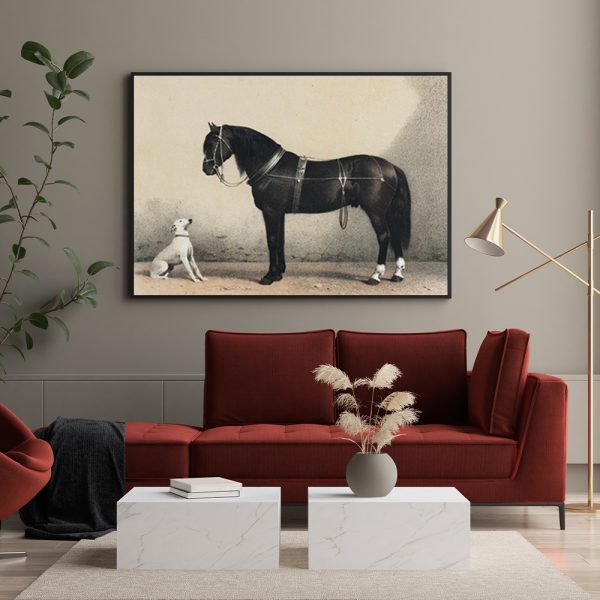 Wall Art - Antique Horse - Canvas Prints-Poster Prints - Image 2