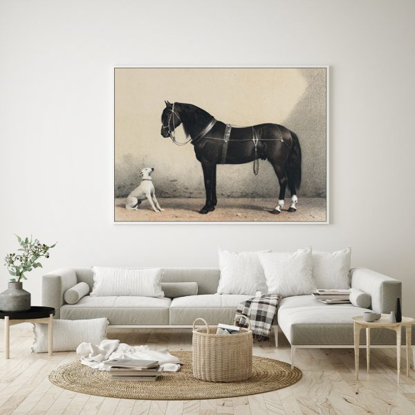 Wall Art - Antique Horse - Canvas Prints-Poster Prints - Image 3